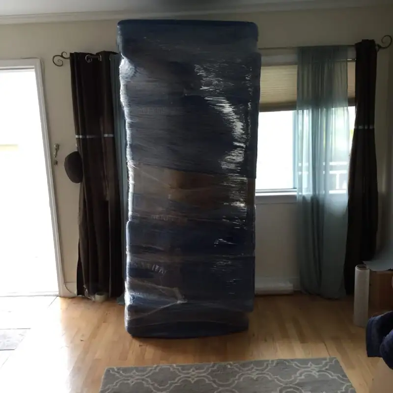 movers carrying item